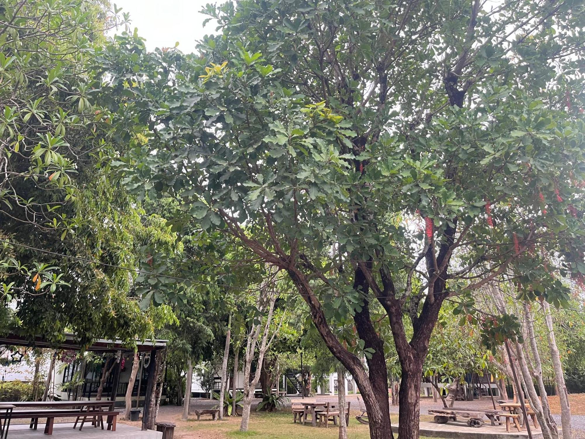 Sangkaset Resort Ban Mong Muang Exterior photo